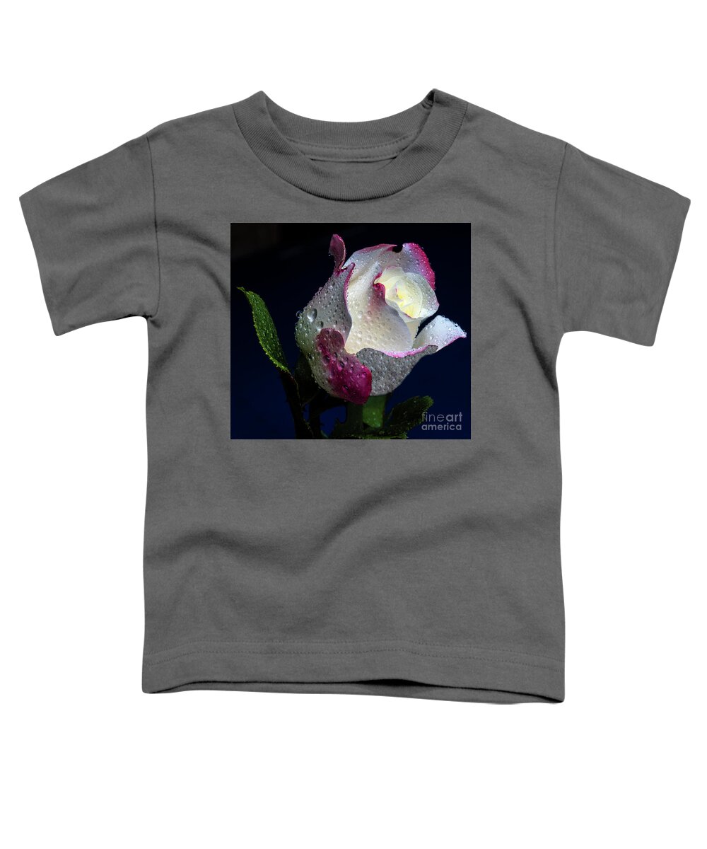 Rose Toddler T-Shirt featuring the photograph Glitzy by Doug Norkum
