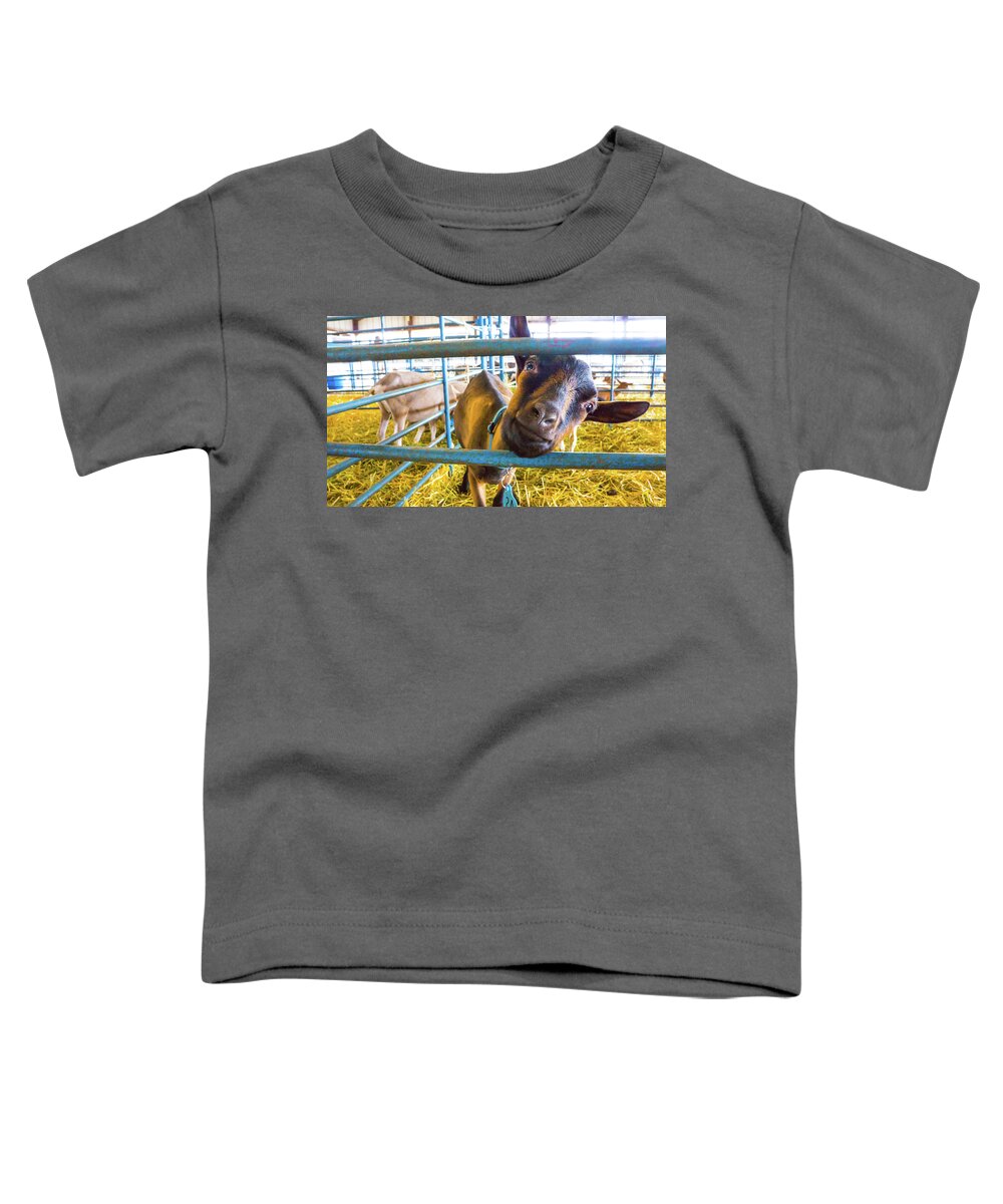 Goat Pen Toddler T-Shirt featuring the photograph Goat in a pen by David Morehead