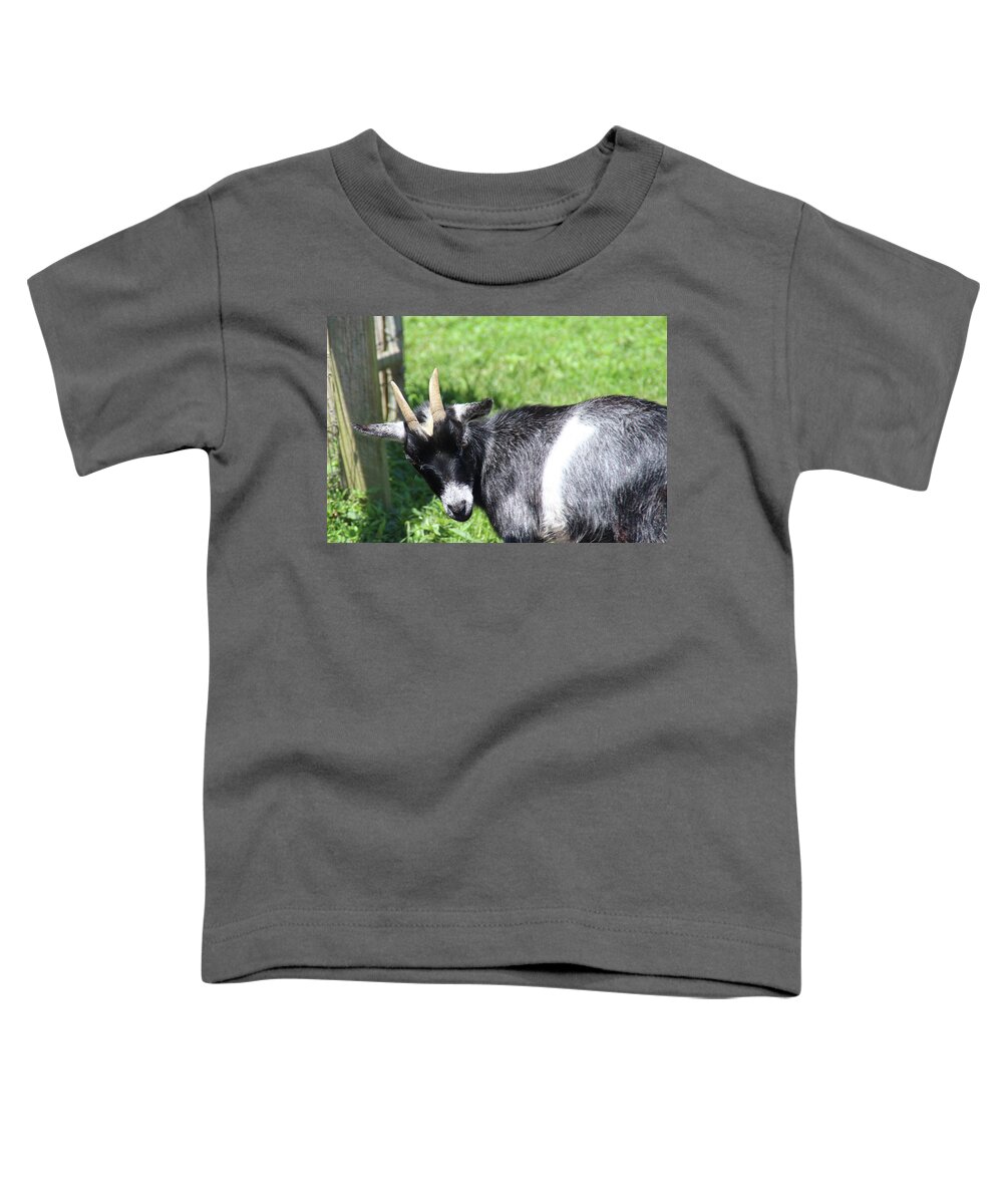 Goat Toddler T-Shirt featuring the photograph Goat With An Attitude by Demetrai Johnson