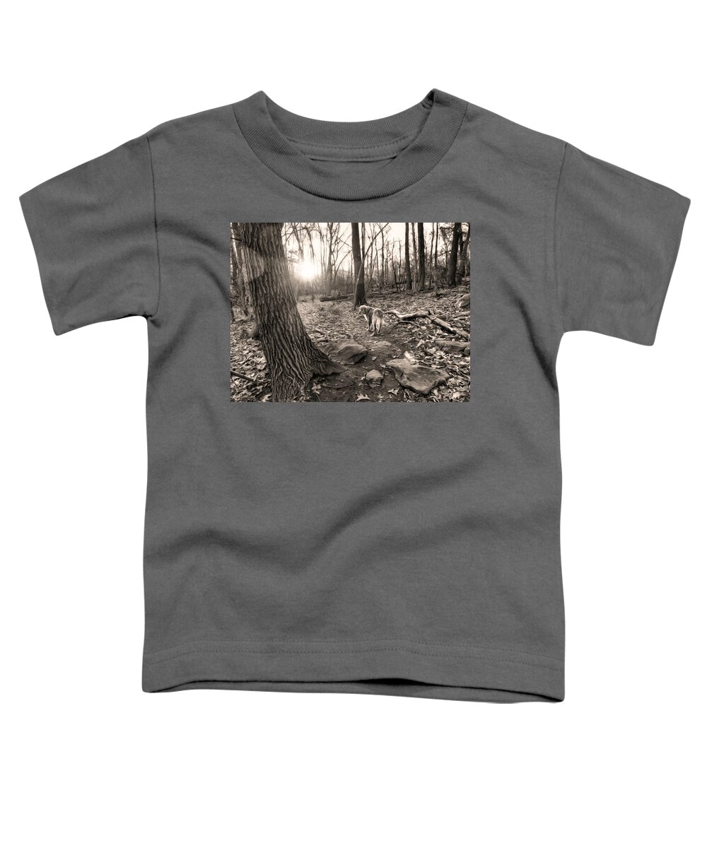 Lake Toddler T-Shirt featuring the digital art Golden and Sunset by Russ Considine