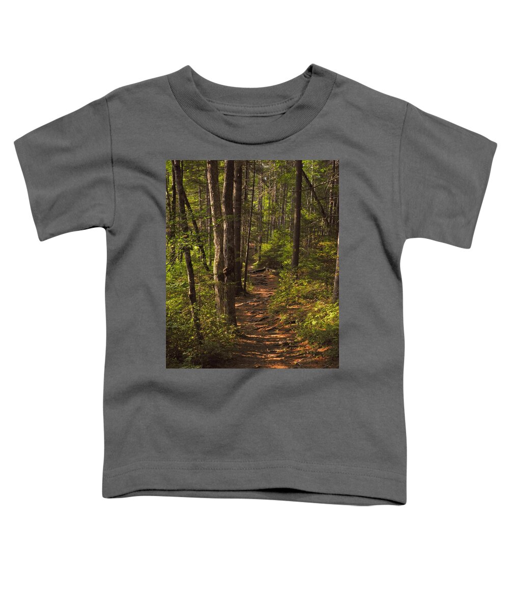 Landscape Toddler T-Shirt featuring the photograph Golden Hour on the Forest Path by Lynda Lehmann