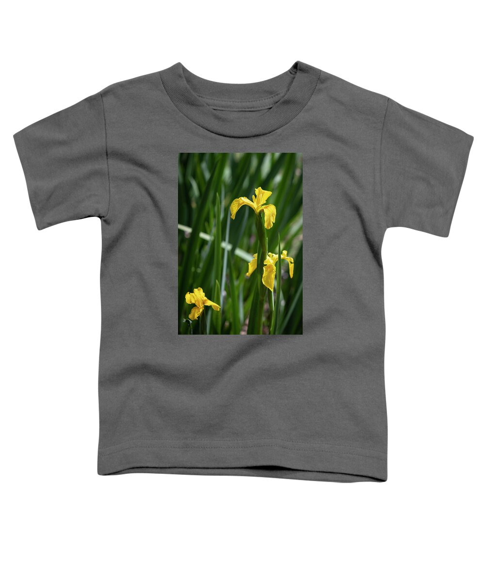 Photograph Toddler T-Shirt featuring the photograph Golden Iris Garden by Suzanne Gaff