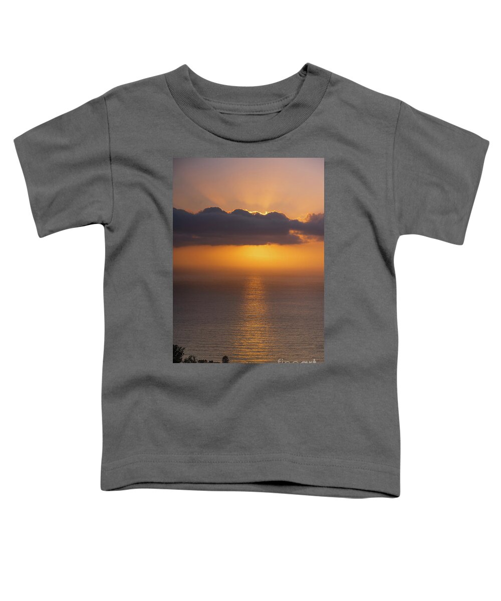 Golden Hour Winter Sunset Toddler T-Shirt featuring the photograph Golden Rays of Sunset Art Print by Abigail Diane Photography