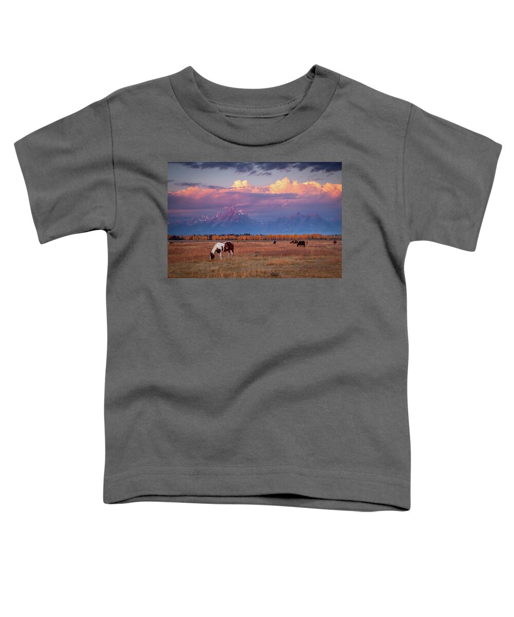 Grand Tetons Toddler T-Shirt featuring the photograph Grand Teton Pasture by Wesley Aston