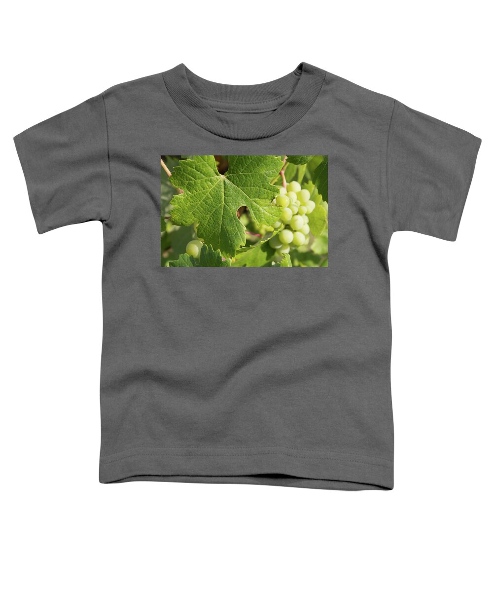 Grape Leaf Toddler T-Shirt featuring the photograph Grape leaf by Fabiano Di Paolo