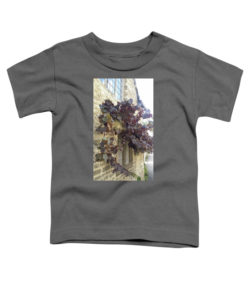 Grapevines Toddler T-Shirt featuring the painting Grapes over the Window in Wiltshire by Roxy Rich