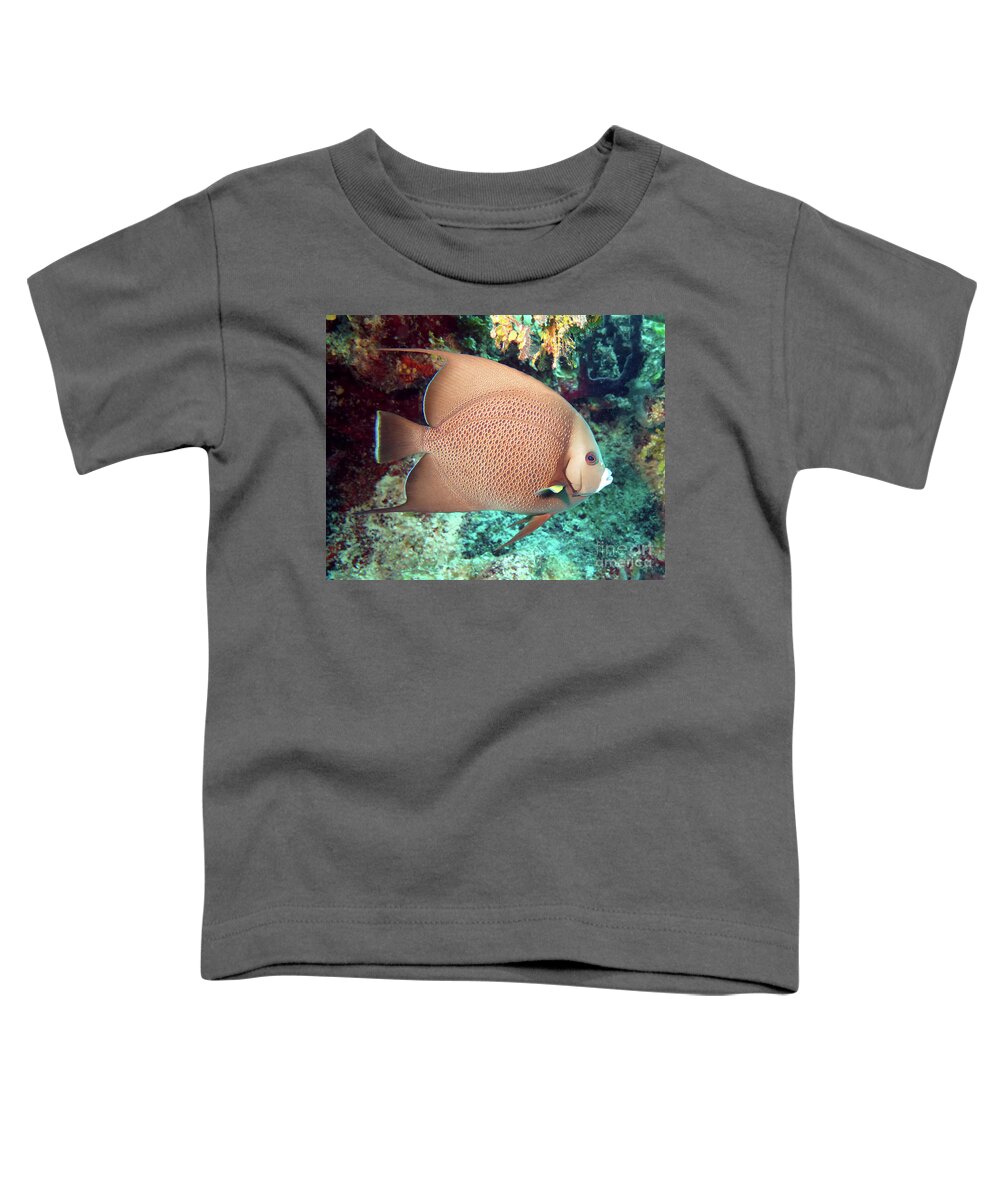 Underwater Toddler T-Shirt featuring the photograph Gray Angelfish 32 by Daryl Duda