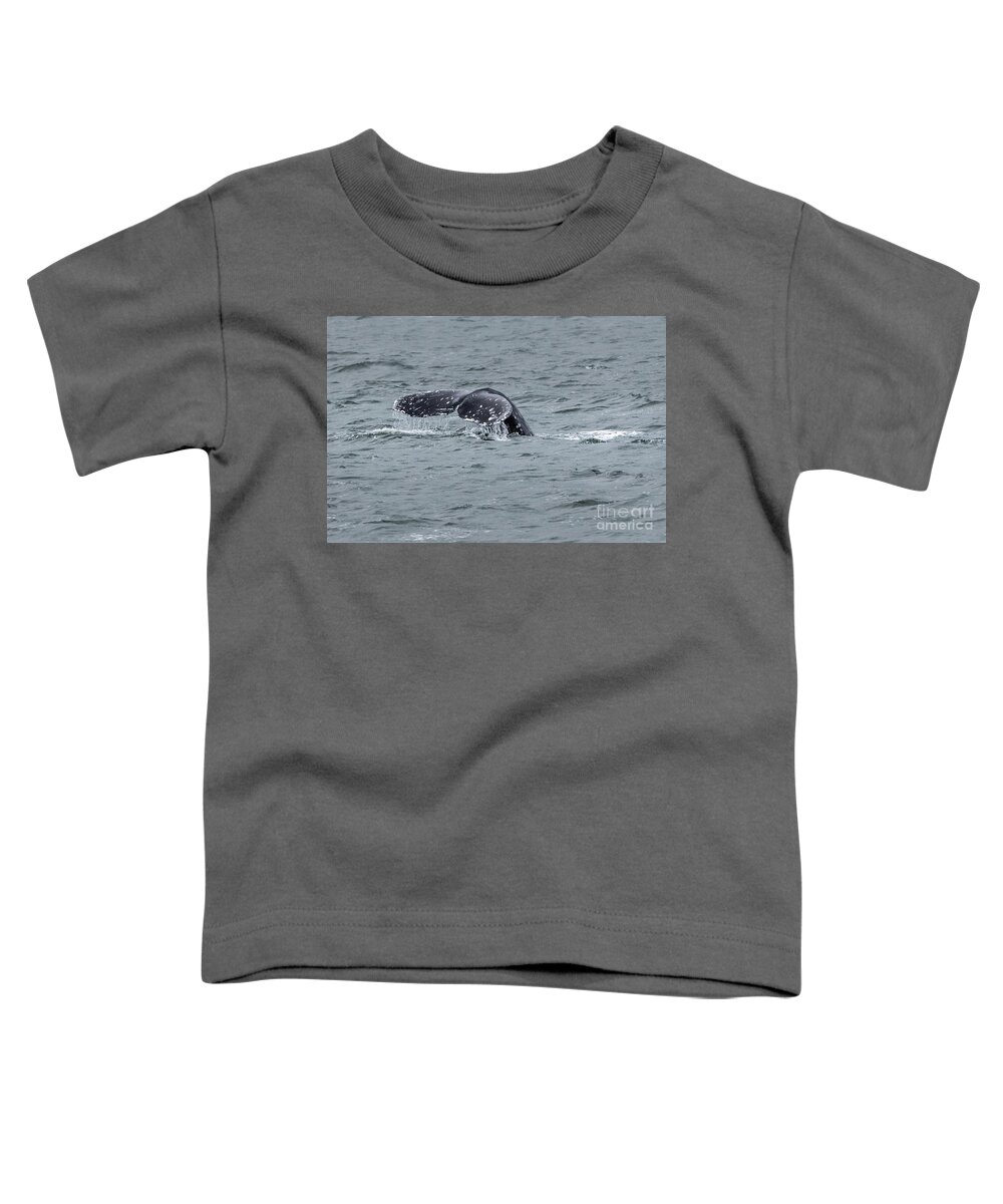 Eschrichtius Robustus Toddler T-Shirt featuring the photograph Gray Whale Tail by Nancy Gleason