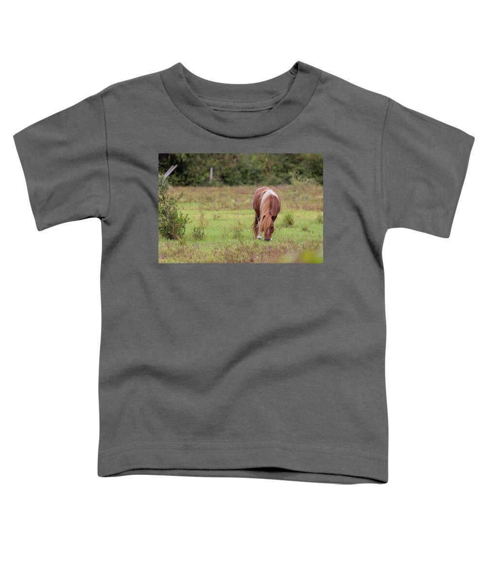 Camping Toddler T-Shirt featuring the photograph Grazing Horse #291 by Michael Fryd