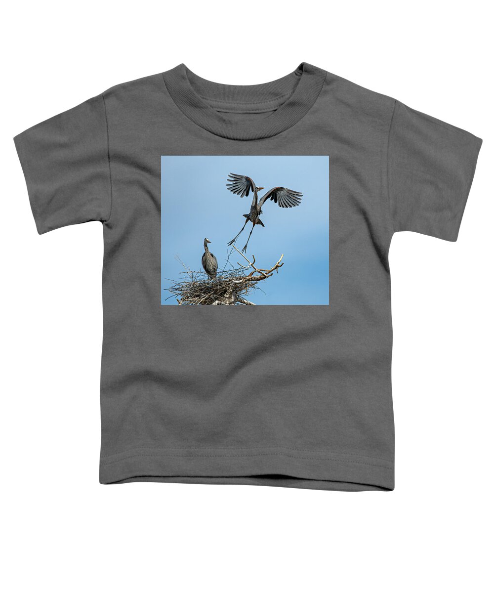 Stillwater Wildlife Refuge Toddler T-Shirt featuring the photograph Great Blue Heron 18 by Rick Mosher