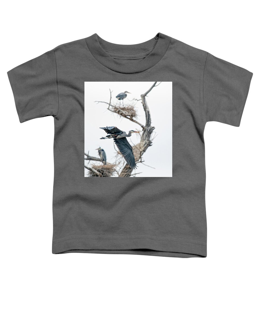 Stillwater Wildlife Refuge Toddler T-Shirt featuring the photograph Great Blue Heron 5 by Rick Mosher