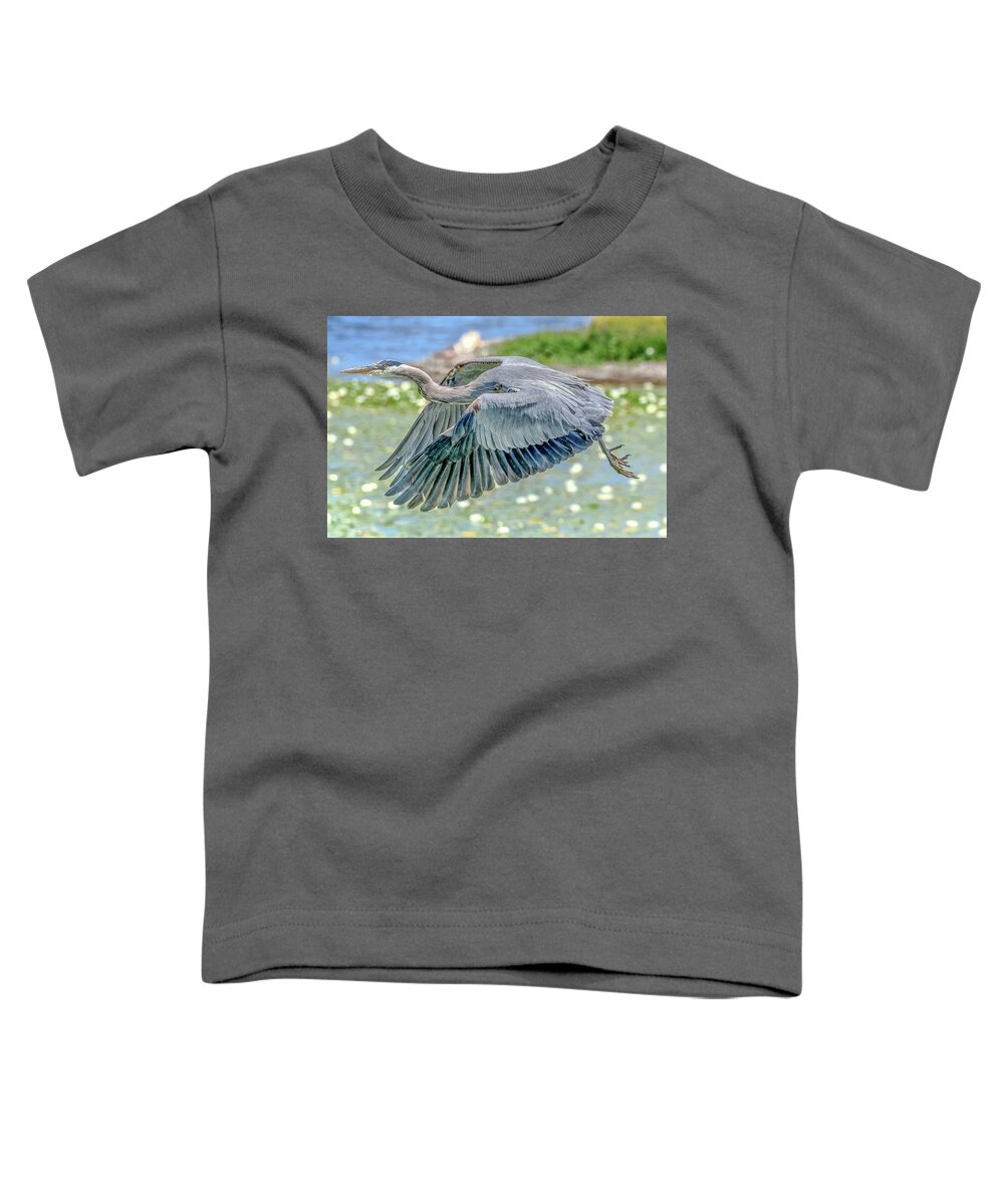 Blue Heron Toddler T-Shirt featuring the photograph Great Blue Heron by Jerry Cahill