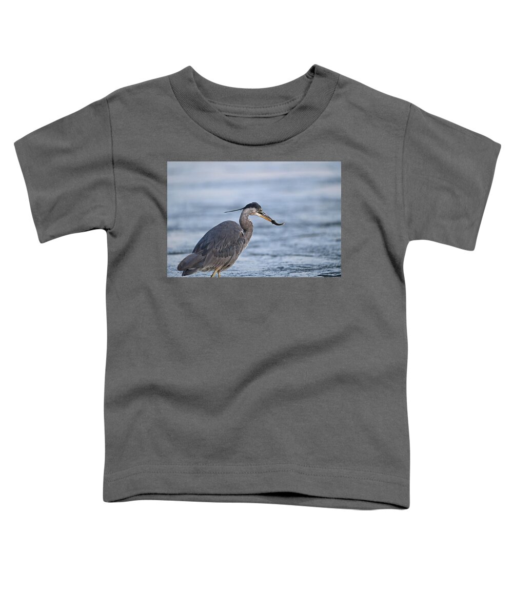 Ardea Herodias Toddler T-Shirt featuring the photograph Great Blue Heron With a Catch by Amazing Action Photo Video