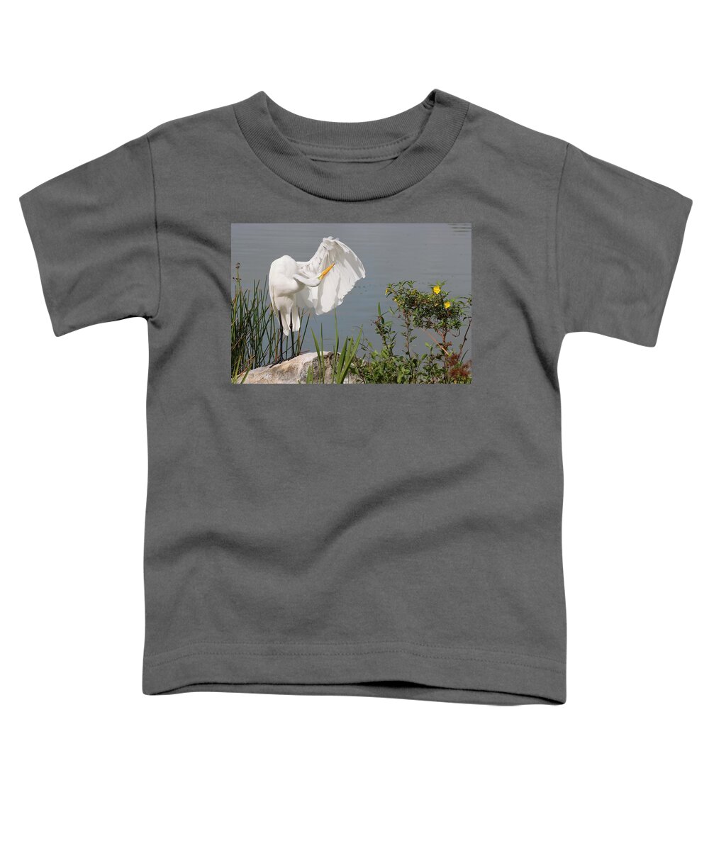 Great Egret Toddler T-Shirt featuring the photograph Great Egret in Photo Session 2 by Mingming Jiang
