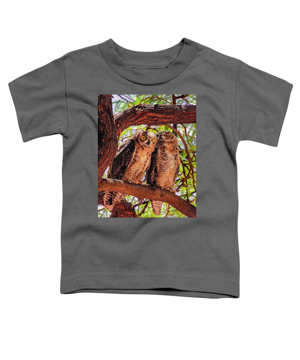 Great Toddler T-Shirt featuring the photograph Great Horned Owls v124129 by Mark Myhaver