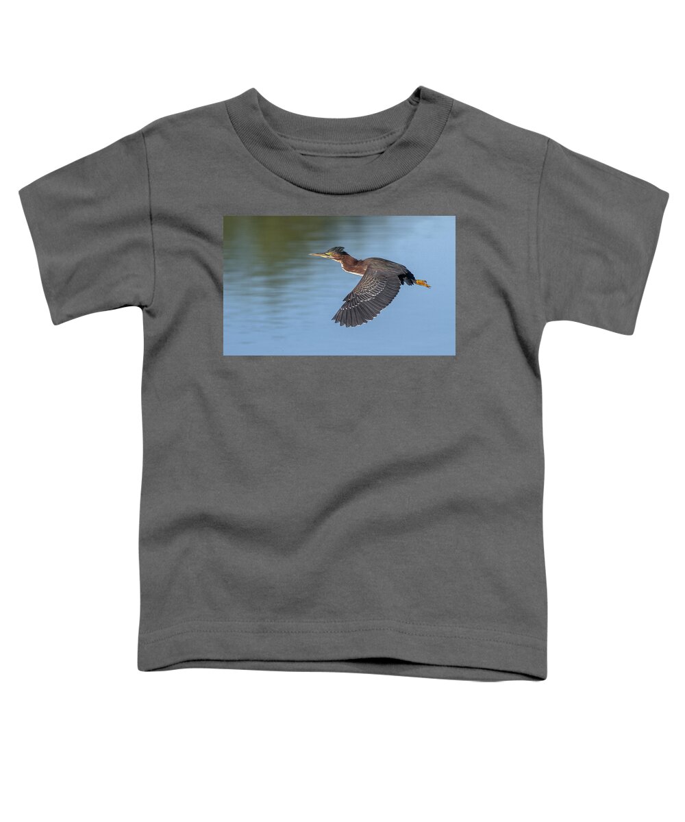 Green Heron Toddler T-Shirt featuring the photograph Green Heron 2201-111121-2 by Tam Ryan