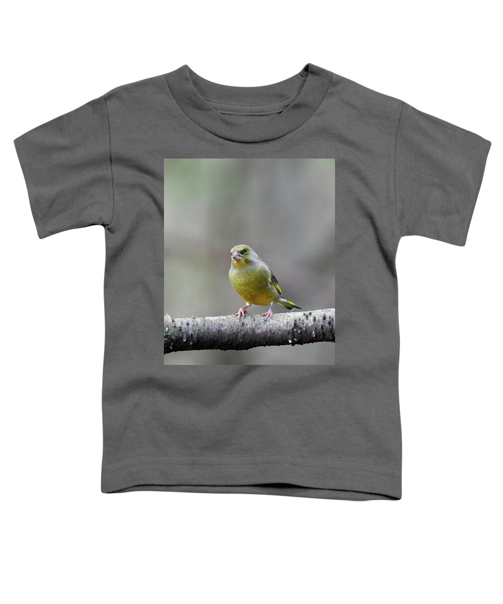 Carduelis Chloris Toddler T-Shirt featuring the photograph Green on a gray day. European greenfinch by Jouko Lehto