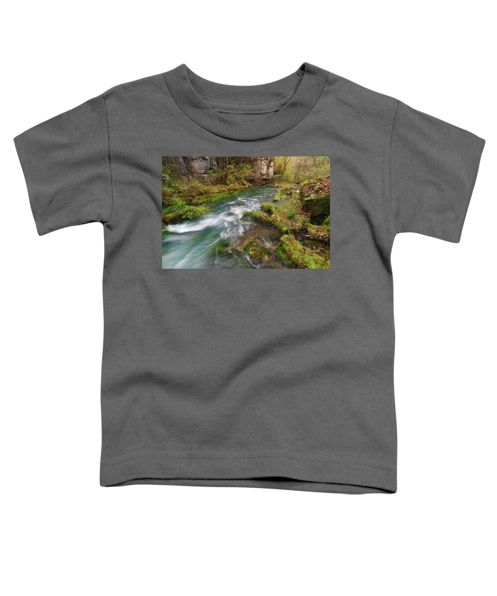 Greer Spring Toddler T-Shirt featuring the photograph Greer Spring by Robert Charity