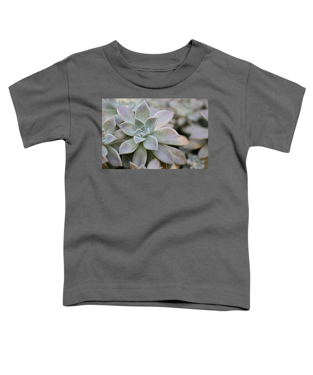 Succulent Toddler T-Shirt featuring the photograph Grey Ghost Plant by Mingming Jiang