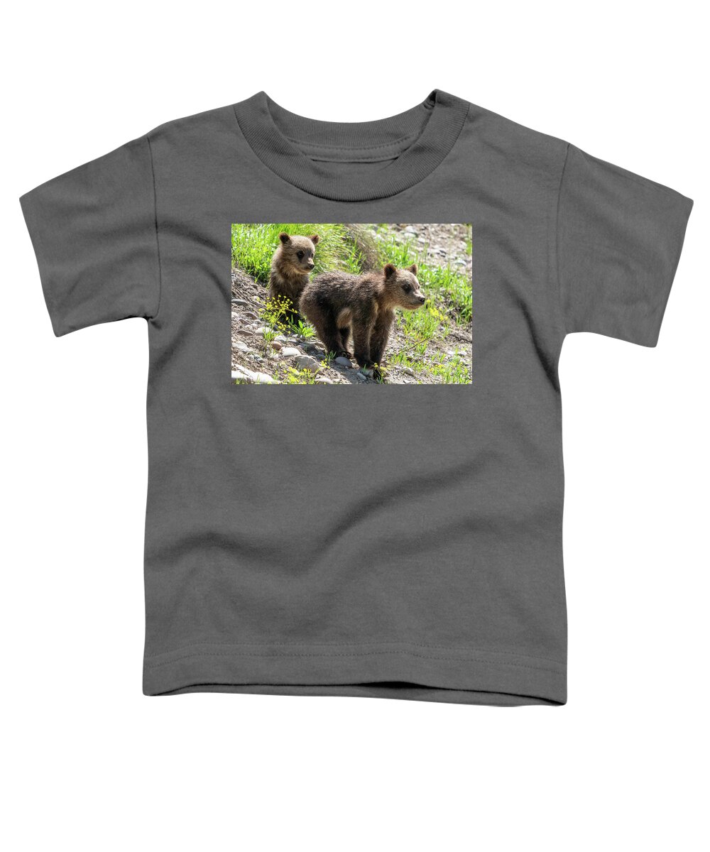 Grizzly Toddler T-Shirt featuring the photograph Grizzly Bear Cubs by Wesley Aston