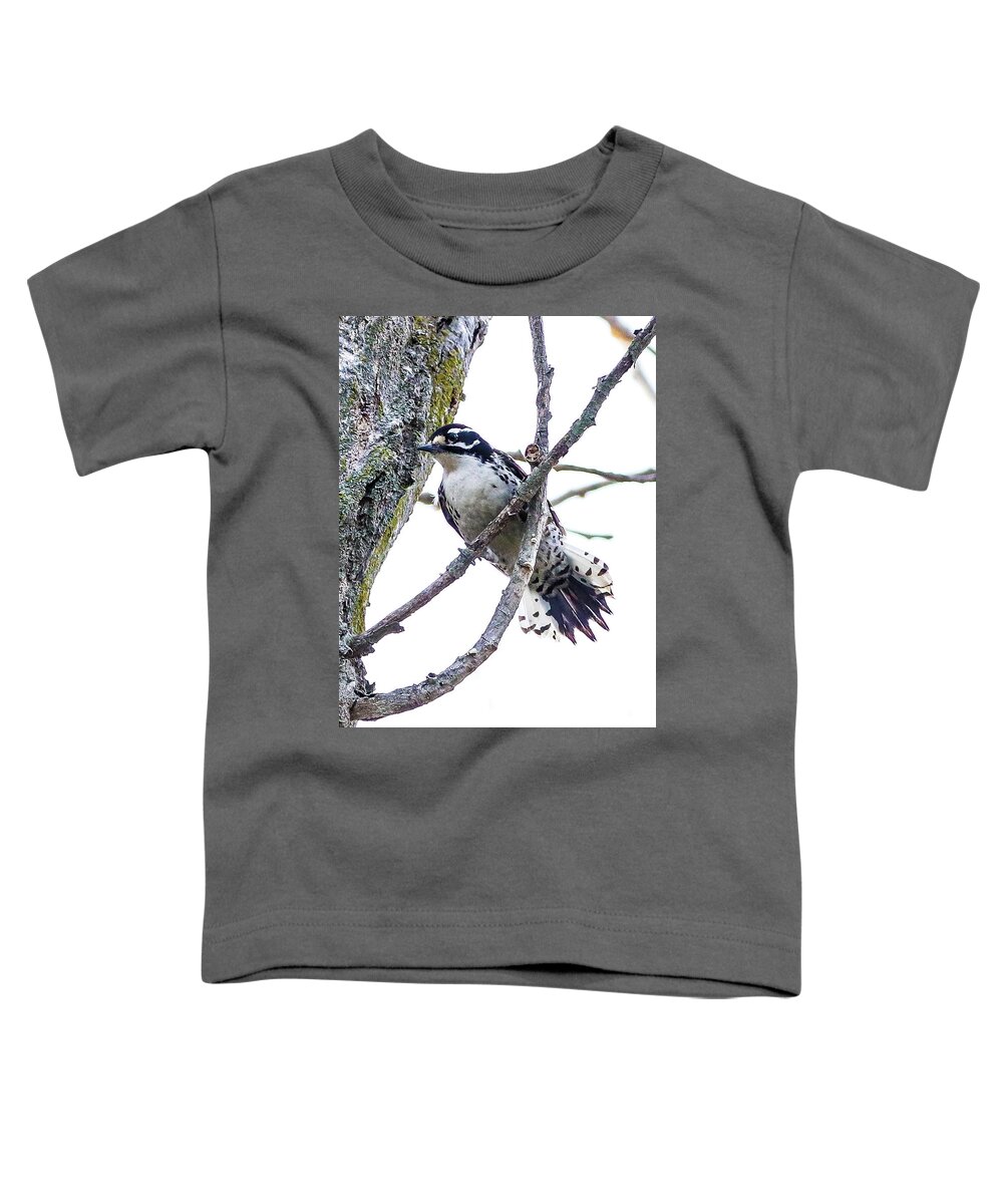 Woodpecker Toddler T-Shirt featuring the photograph Hairy Woodpecker by Tahmina Watson