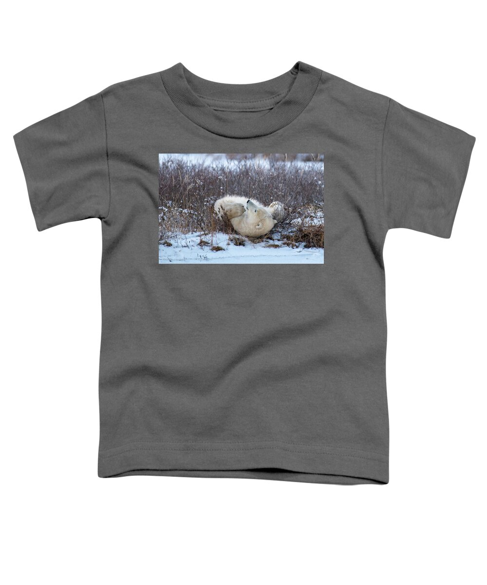 Polar Bear Toddler T-Shirt featuring the photograph Happy Polar Bear by Mark Hunter