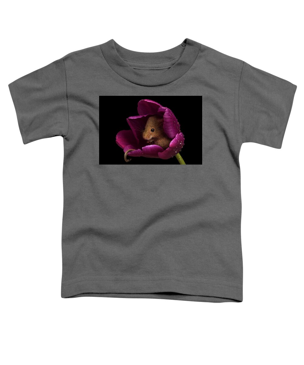 Harvest Toddler T-Shirt featuring the photograph Harvest Mouse-3428 by Miles Herbert