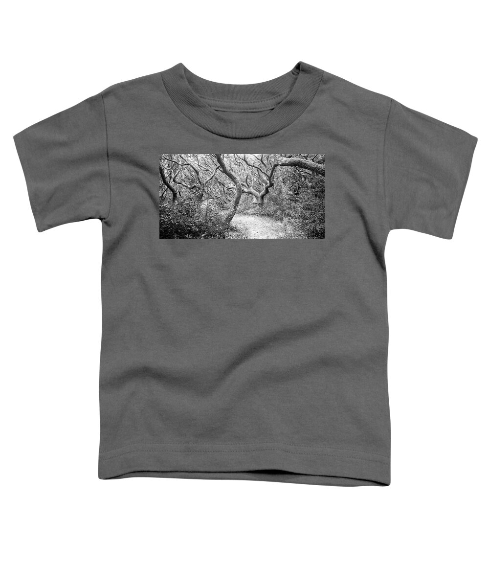 Elliot Coues Trail Toddler T-Shirt featuring the photograph Haunted Forest Trail - Fort Macon State Park by Bob Decker
