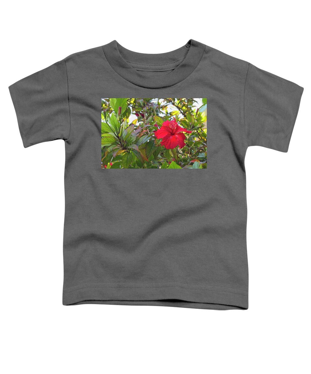Hibiscus Toddler T-Shirt featuring the photograph Havana Hibiscus by Paul Rebmann