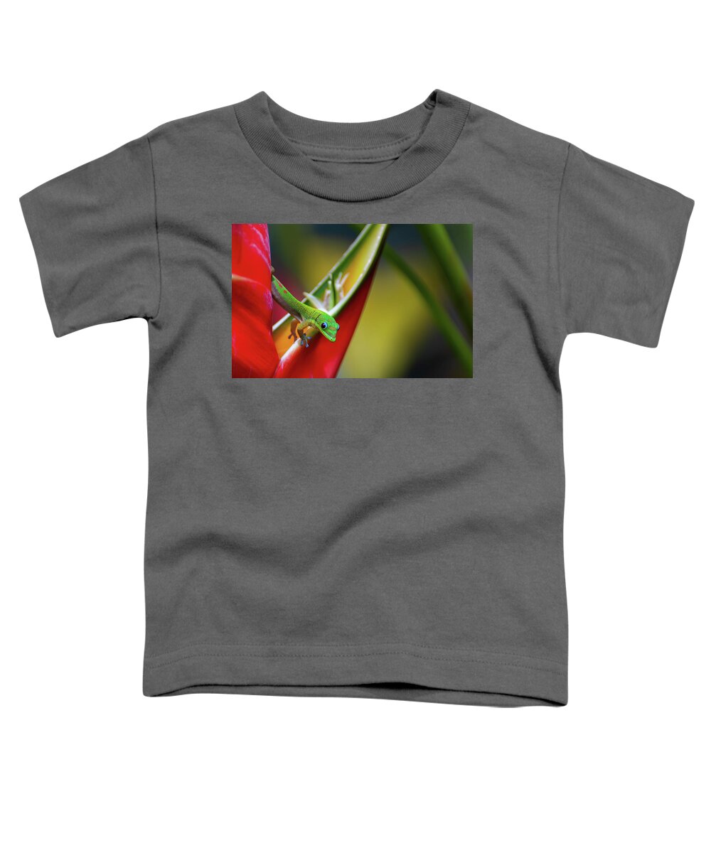 Kauai Toddler T-Shirt featuring the photograph Hawaiian Day Gecko. by Doug Davidson