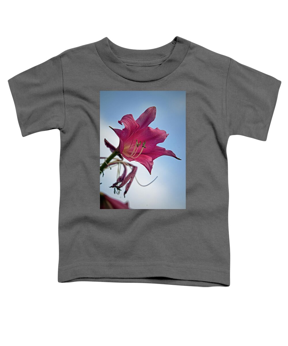 Lily Toddler T-Shirt featuring the photograph Heirloom by M Kathleen Warren