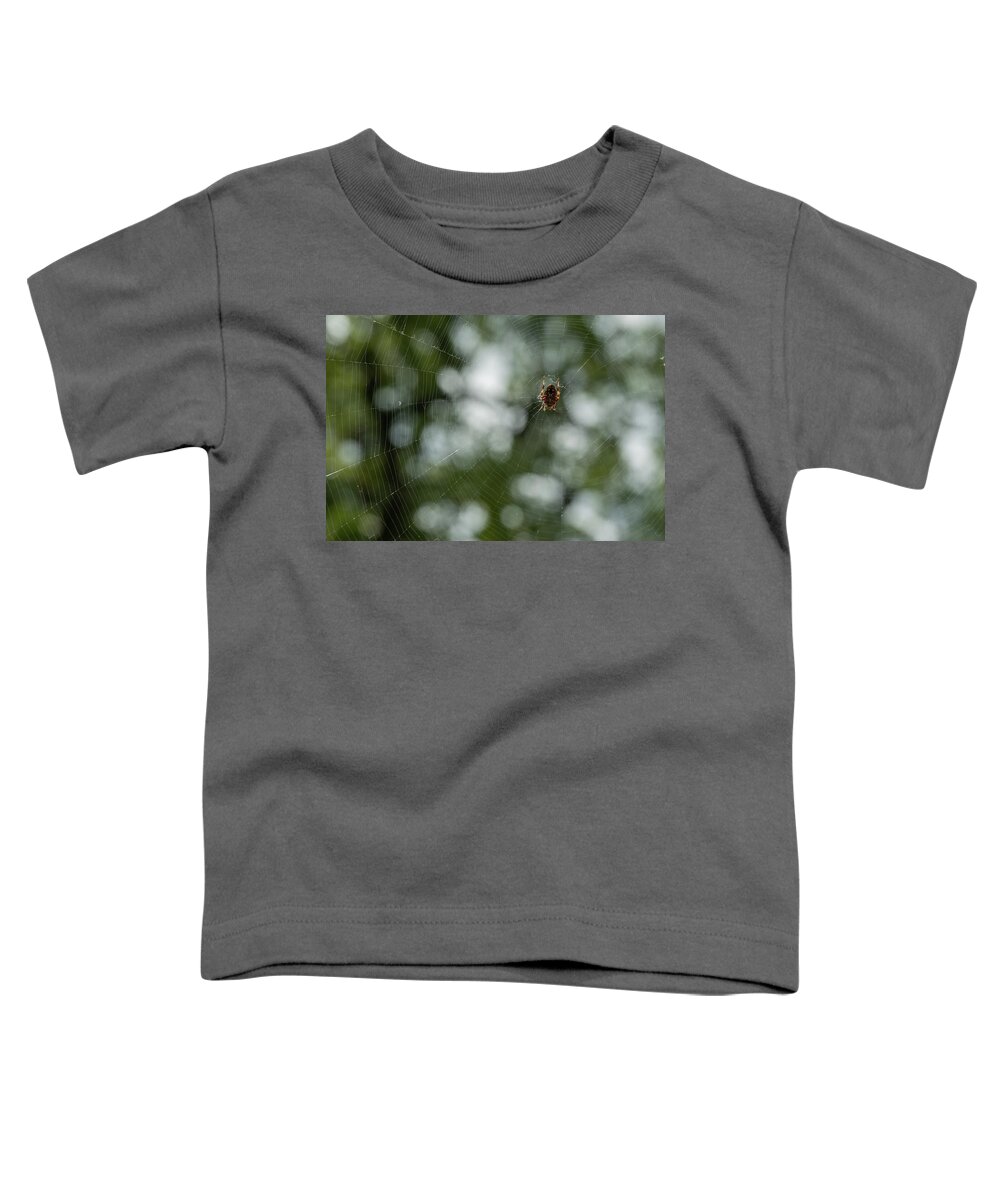 Ventral View Toddler T-Shirt featuring the photograph Hentz Orb Weaver and Web by Brooke Bowdren