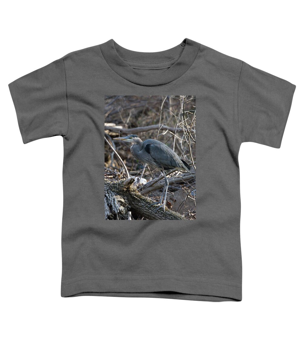 Birds Toddler T-Shirt featuring the photograph Heron on the move by Paul Ross