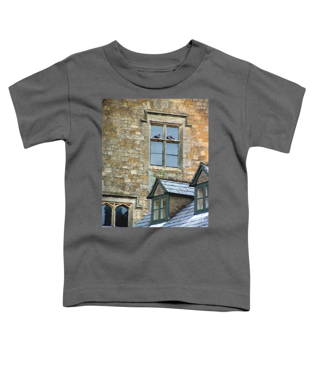 Stow-in-the-wold Toddler T-Shirt featuring the photograph High Church Perch by Brian Watt