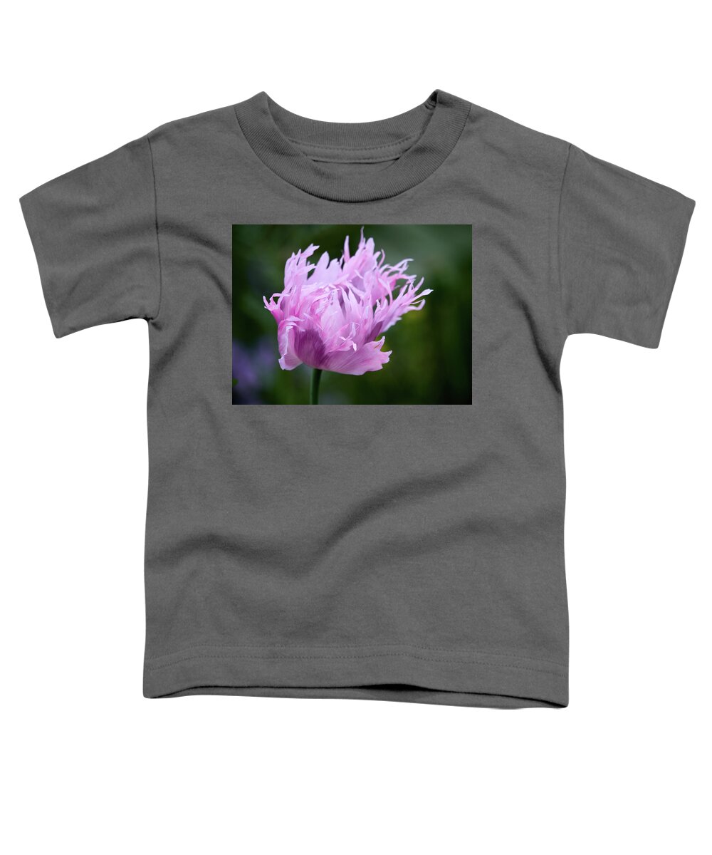 Finland Toddler T-Shirt featuring the photograph Hit by the wind. Poppy by Jouko Lehto