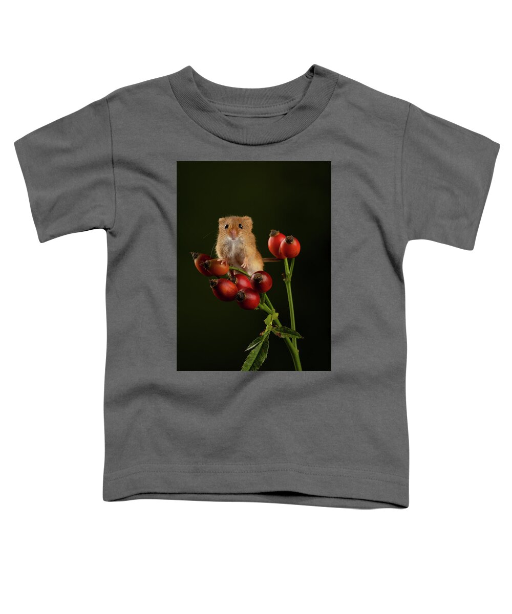 Harvest Toddler T-Shirt featuring the photograph Hm-0498 by Miles Herbert