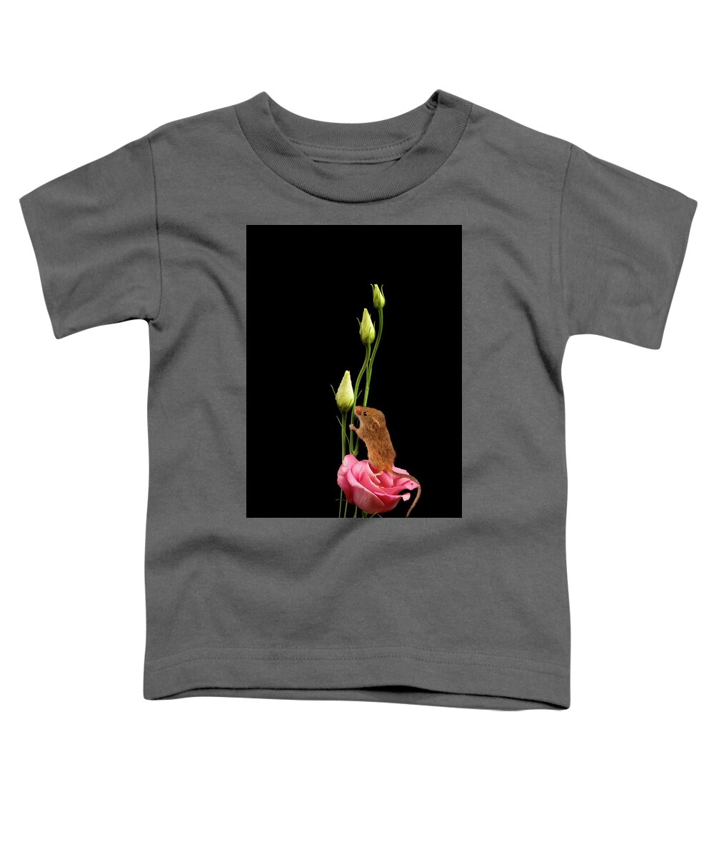 Harvest Toddler T-Shirt featuring the photograph Hm-1494 by Miles Herbert
