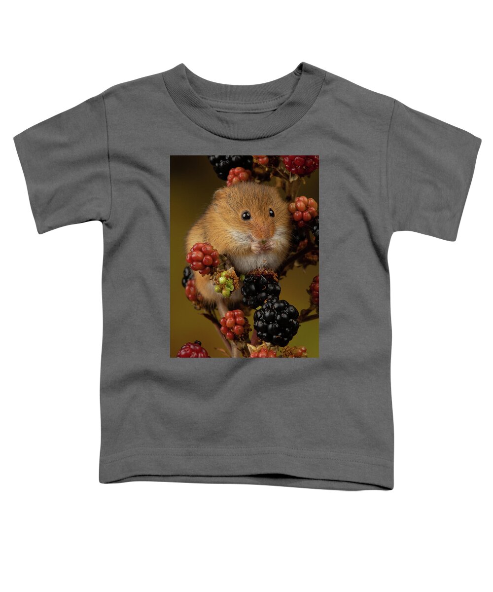 Harvest Toddler T-Shirt featuring the photograph Hm-8630 by Miles Herbert