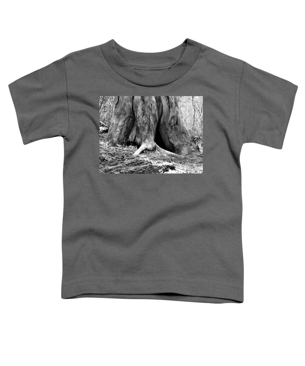 Tree Toddler T-Shirt featuring the photograph Hollow Tree Trunk in Black and White by Amanda R Wright