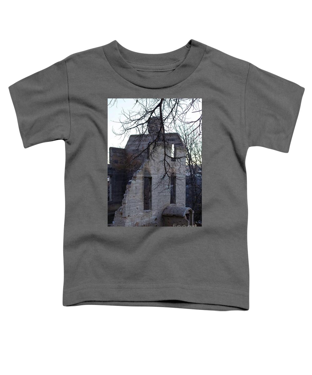Homestead Toddler T-Shirt featuring the photograph Homestead by Shirley Dutchkowski