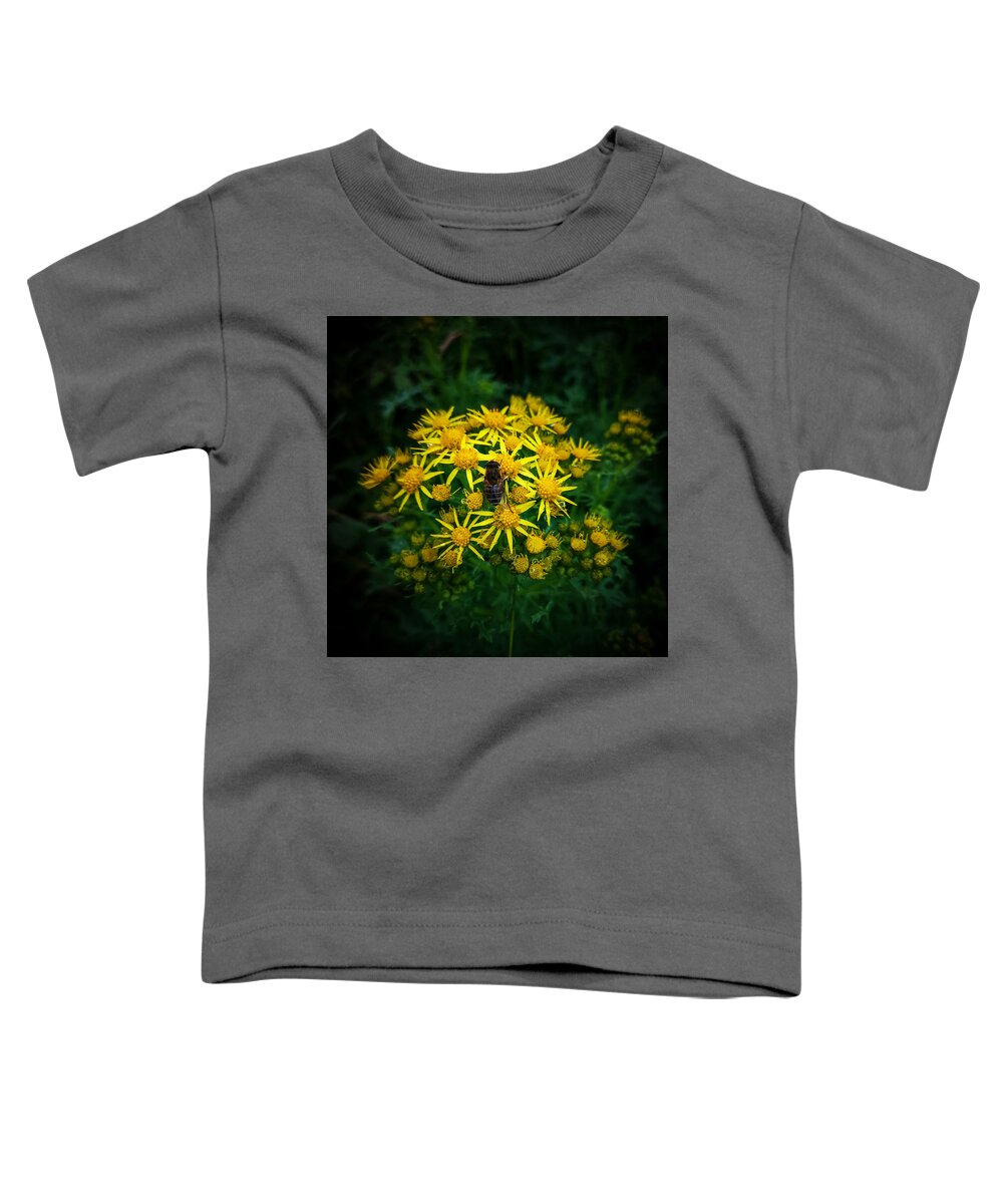 Yellow Flowers Toddler T-Shirt featuring the photograph Honey Bee on Ragworth by Mark Callanan