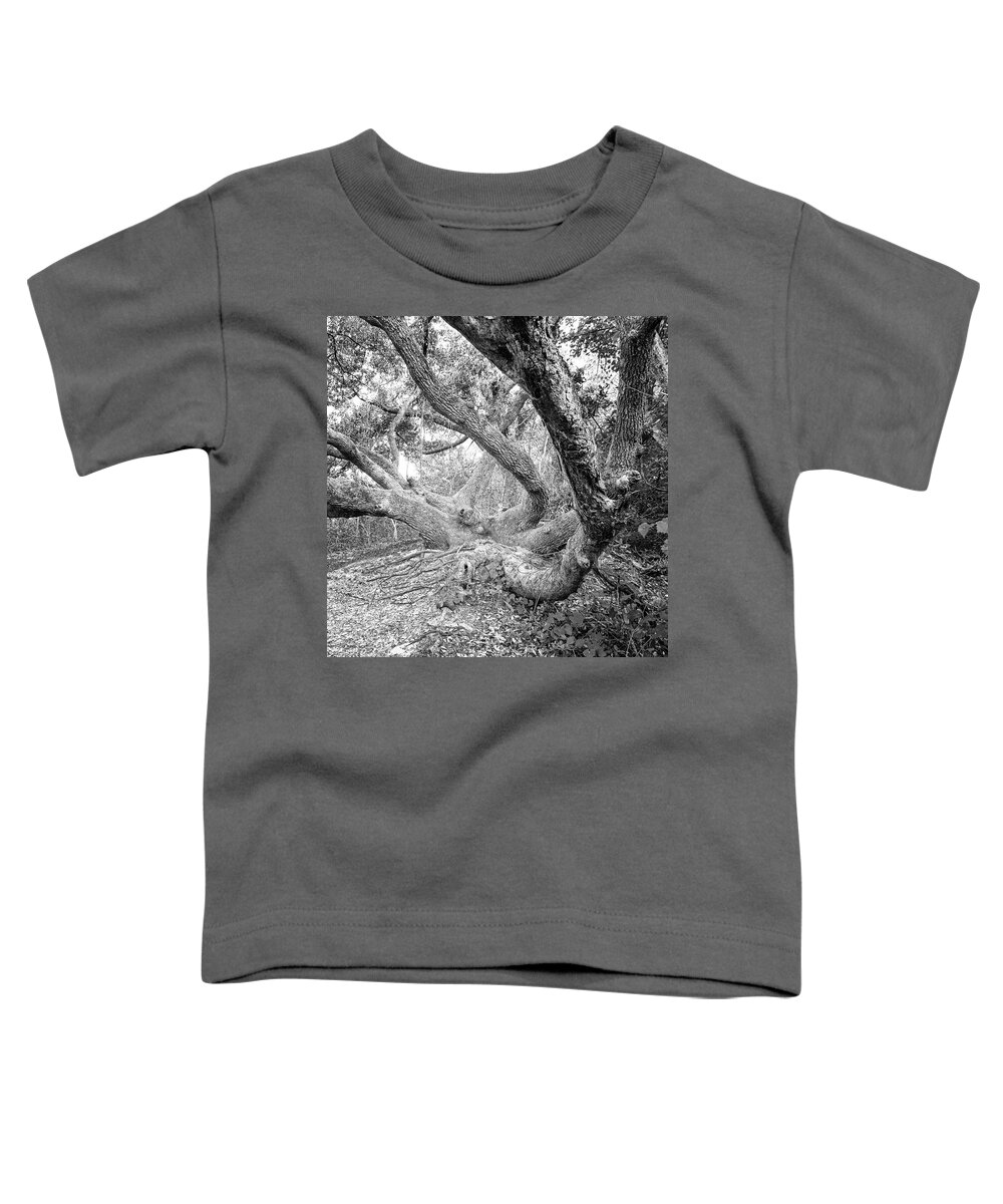 Live Oak Toddler T-Shirt featuring the photograph Hoop Pole Creek Live Oak - Atlantic Beach NC by Bob Decker