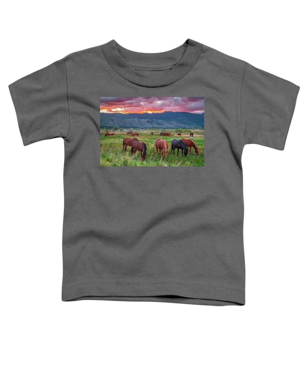 Nevada Toddler T-Shirt featuring the photograph Horses Grazing in a Field at Sunset by Marc Crumpler