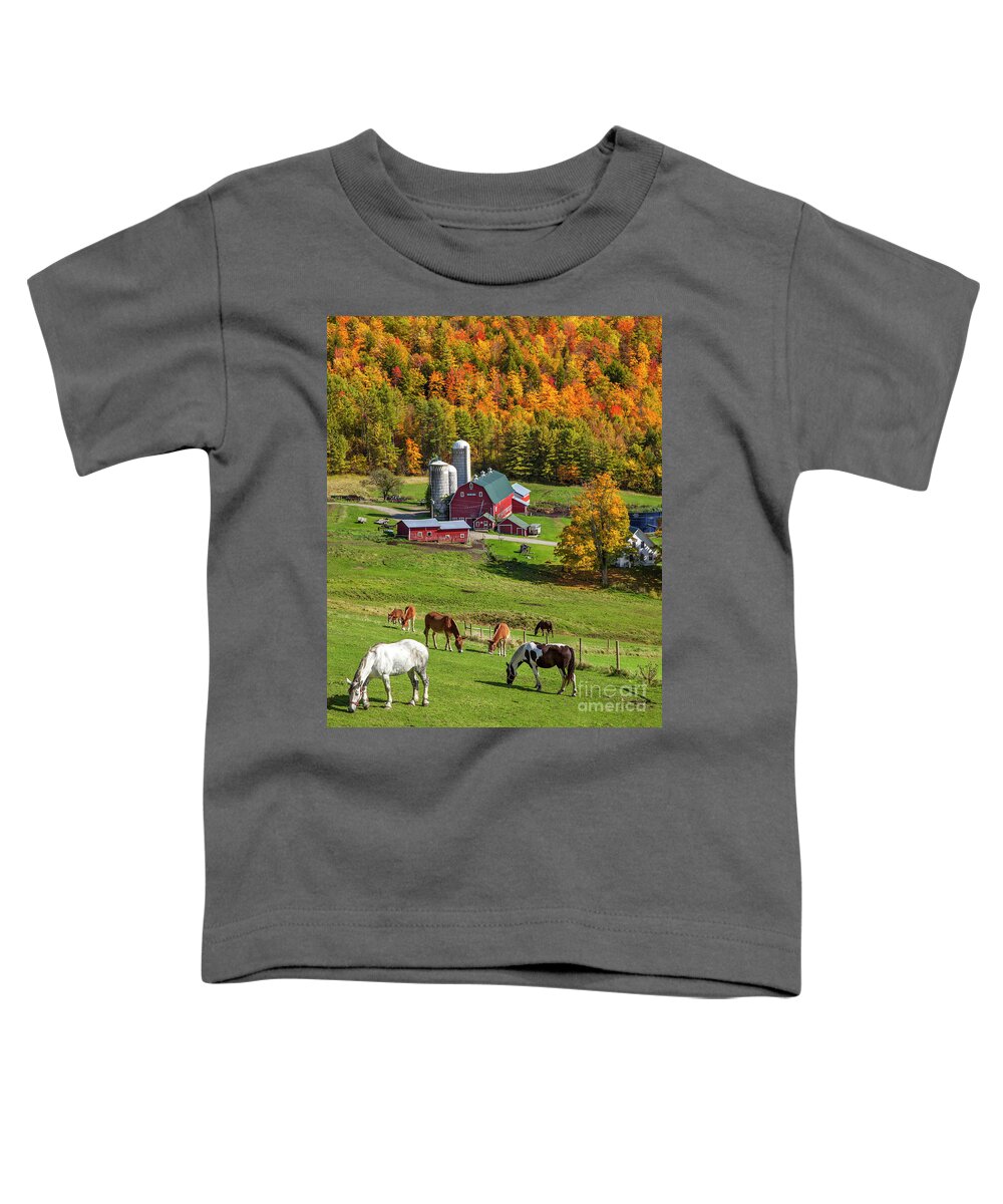Autumn Toddler T-Shirt featuring the photograph Horses Grazing in Autumn by Brian Jannsen