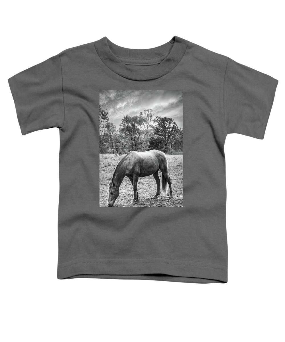 Cades Toddler T-Shirt featuring the photograph Horses Grazing in Cades Cove Black and White by Debra and Dave Vanderlaan