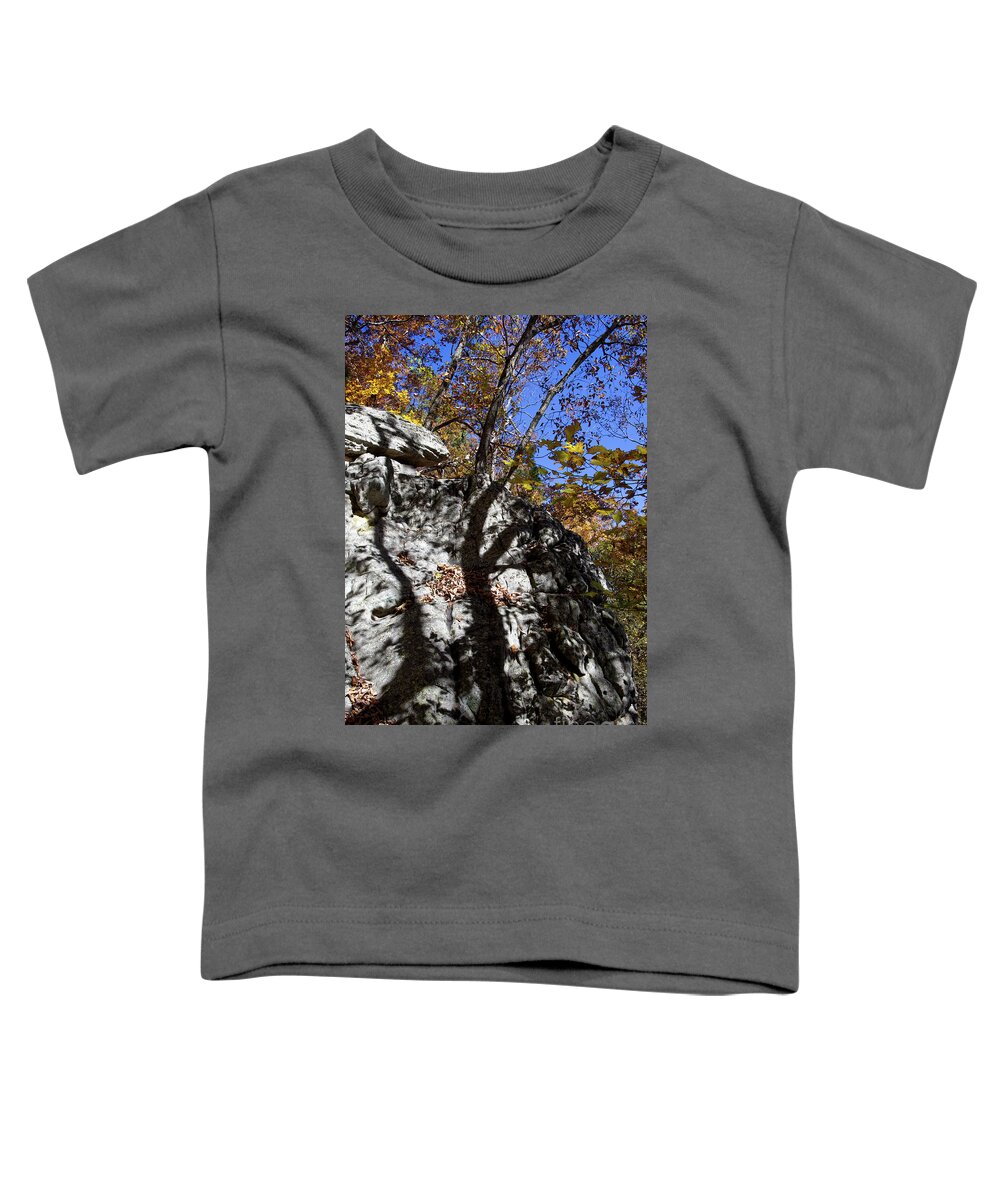 Shadows Toddler T-Shirt featuring the photograph House Mountain 33 by Phil Perkins