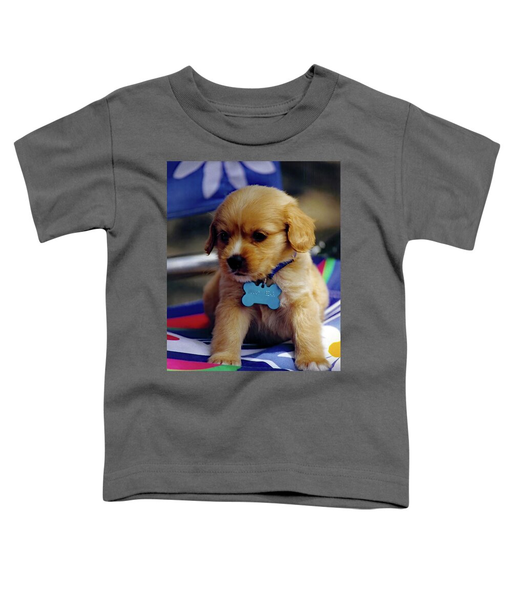 Puppy Toddler T-Shirt featuring the photograph Huggy Bear by Jennifer Robin