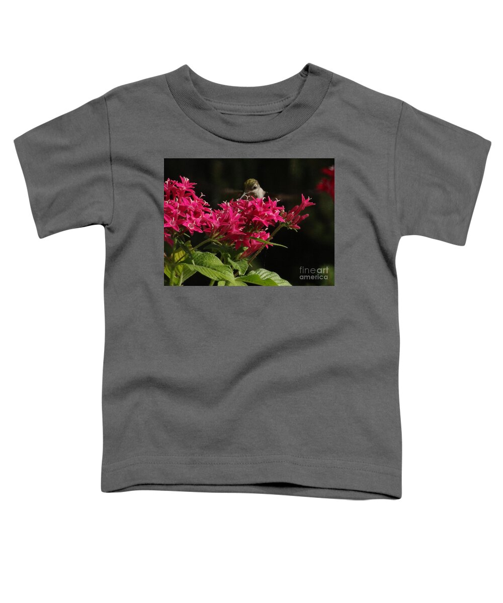 5 Star Toddler T-Shirt featuring the photograph Hummers on Deck- 2-03 by Christopher Plummer