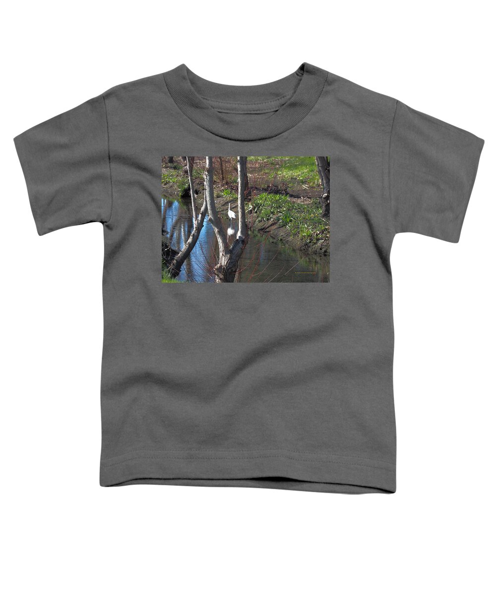 Animal Toddler T-Shirt featuring the photograph Hungry Egret by Richard Thomas