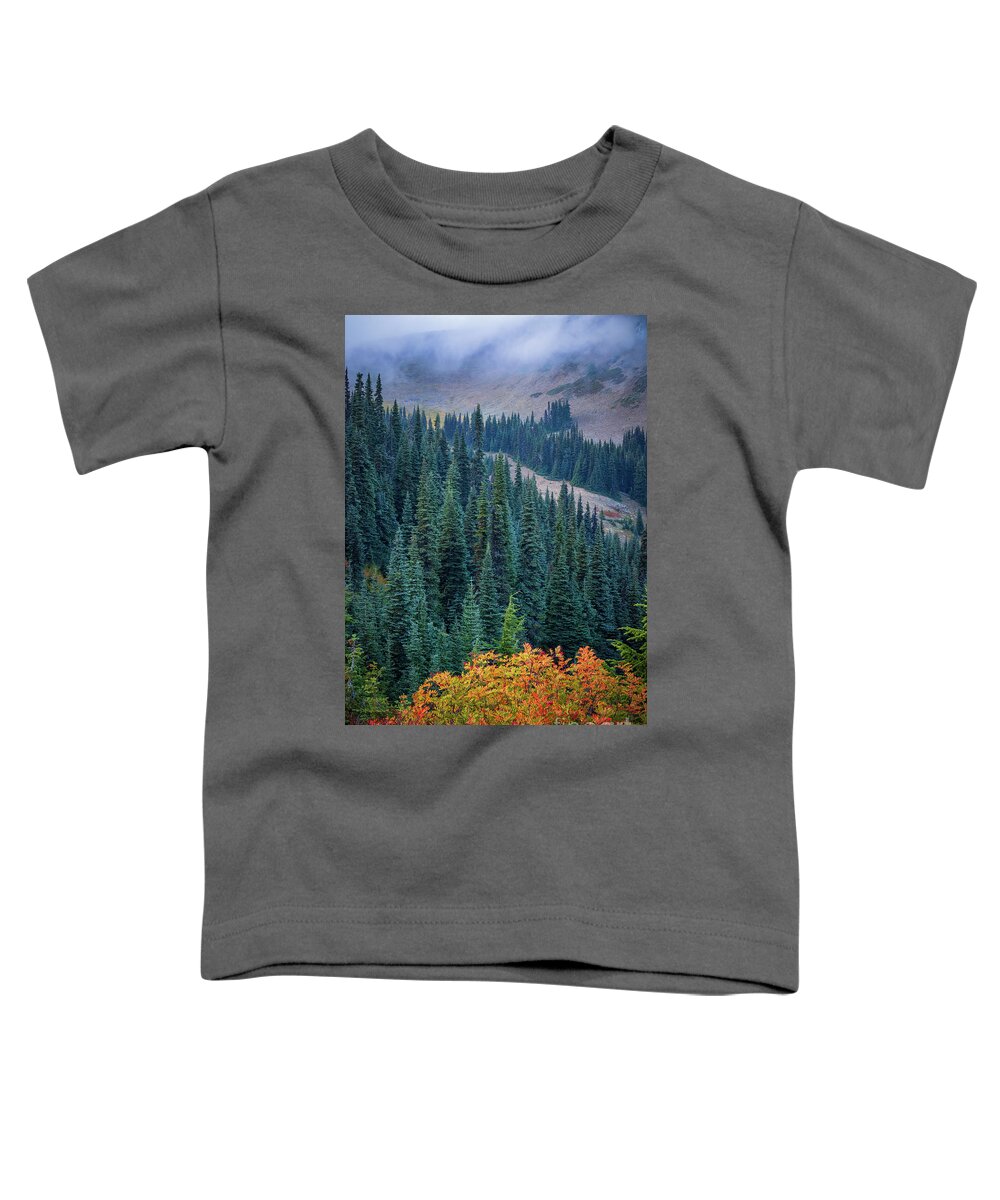 America Toddler T-Shirt featuring the photograph Hurricane Ridge Spruces by Inge Johnsson